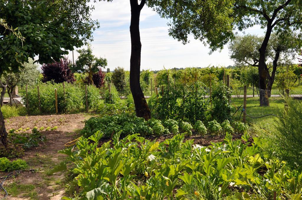 Villa Agriturismo Armea à Desenzano del Garda Extérieur photo