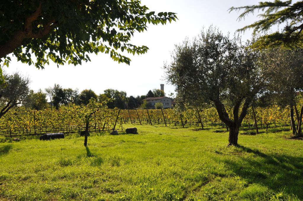 Villa Agriturismo Armea à Desenzano del Garda Extérieur photo